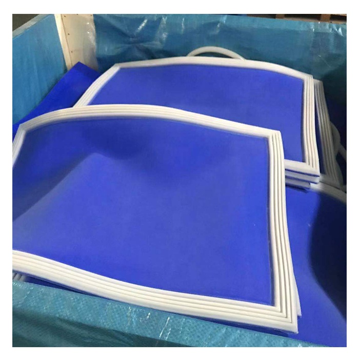 Blue Vacuum Silicon Bags